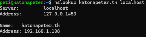 nslookup